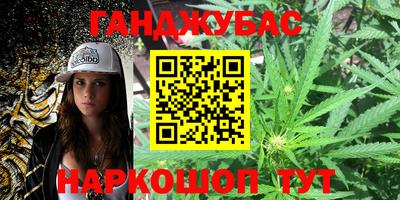 МДПВ Камышлов