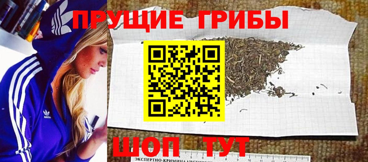 Лесной  Псилоцибиновые грибы мицелий  Вход с VPN 