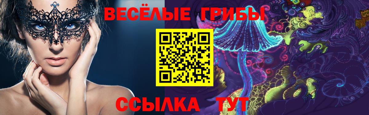 Галлюциногенные грибы мухоморы Лесной